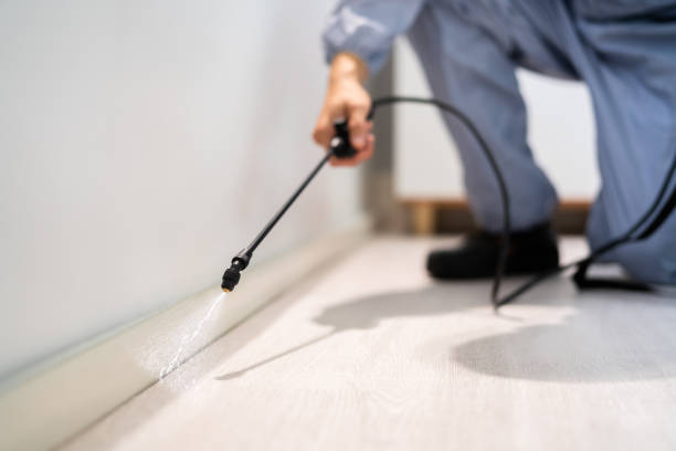 Licensed Termite Control service in East Troy, WI - Nex Pest Control
