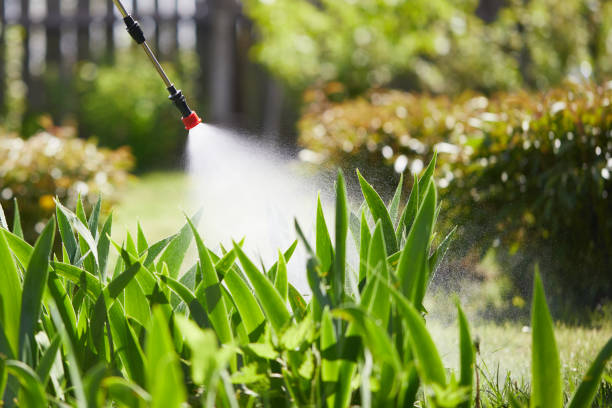 24/7 Emergency Termite Control experts in East Troy, WI