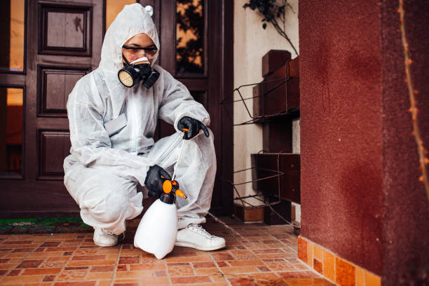 Reliable Termite Control contractor in East Troy, WI by Nex Pest Control